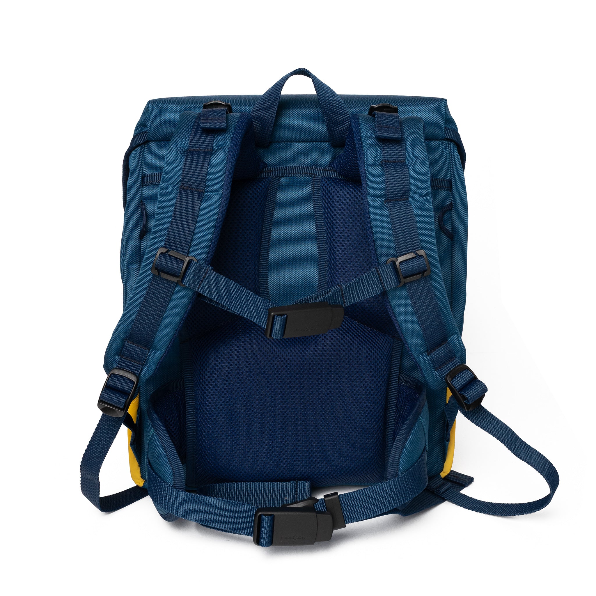 CARRIER - Schulranzen Dawn/Blau